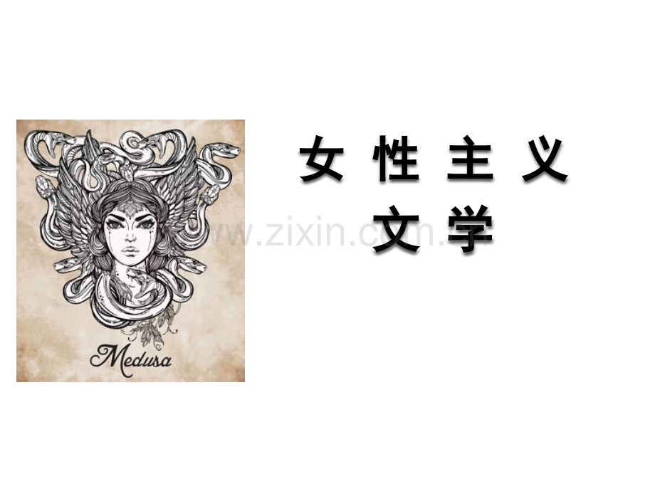 女性主义课程概述.ppt_第1页