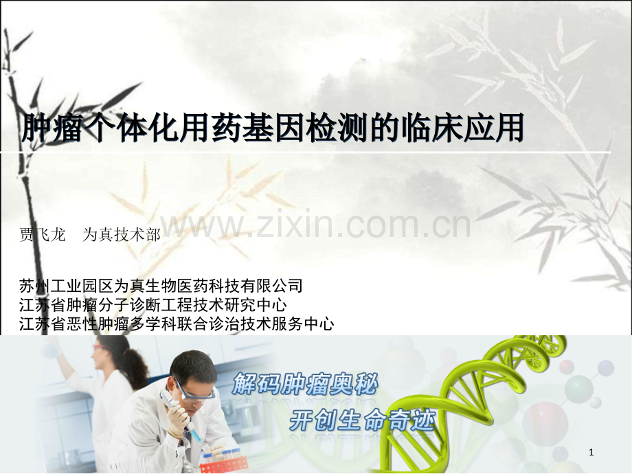 肿瘤个体化用药基因检测的临床应用ppt.ppt_第1页