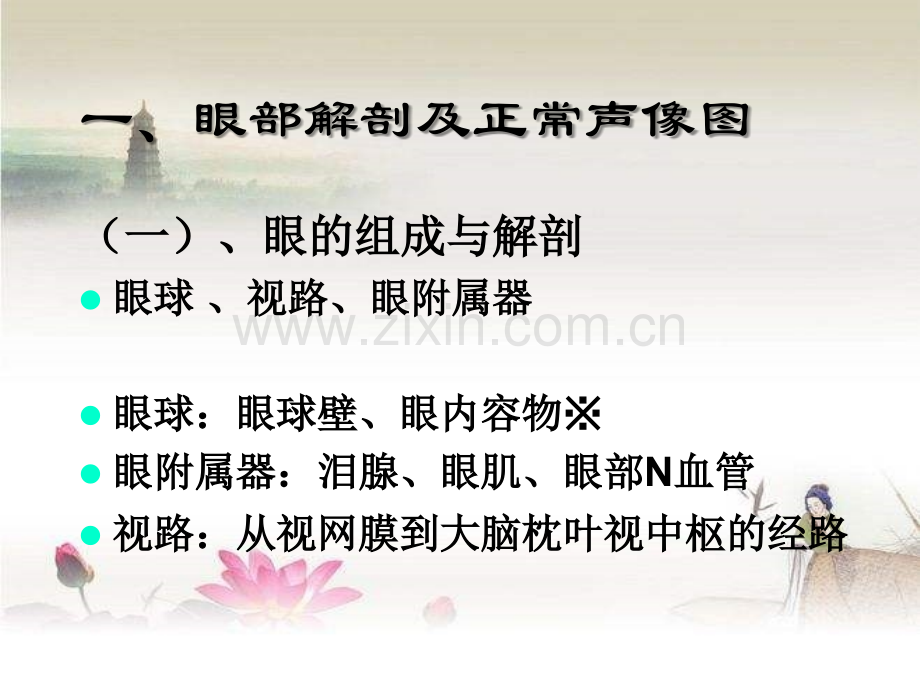 眼部常见病的超声诊断ppt.ppt_第2页