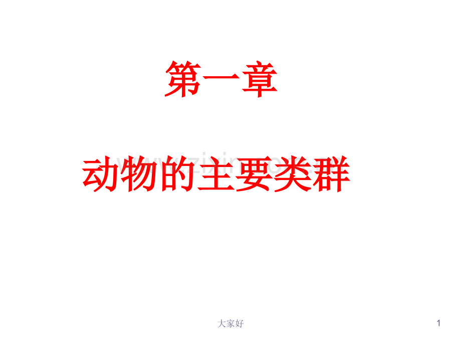 动物的主要类群复习.ppt_第1页