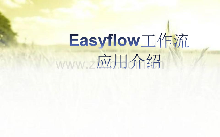 Easyflow工作流介绍ppt.ppt_第1页