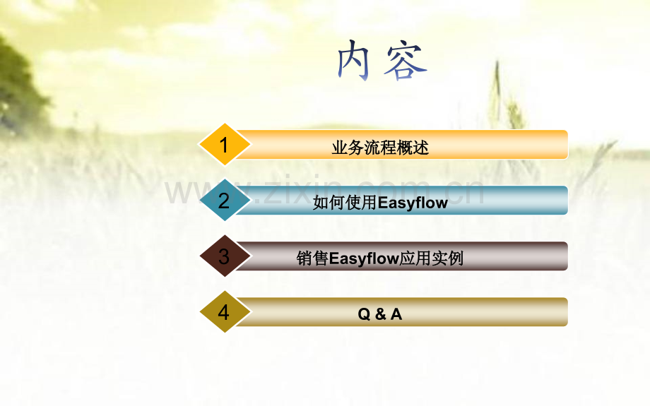 Easyflow工作流介绍ppt.ppt_第2页