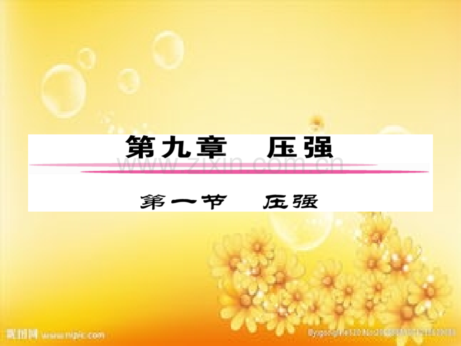 固体压强的计算-PPT.ppt_第2页