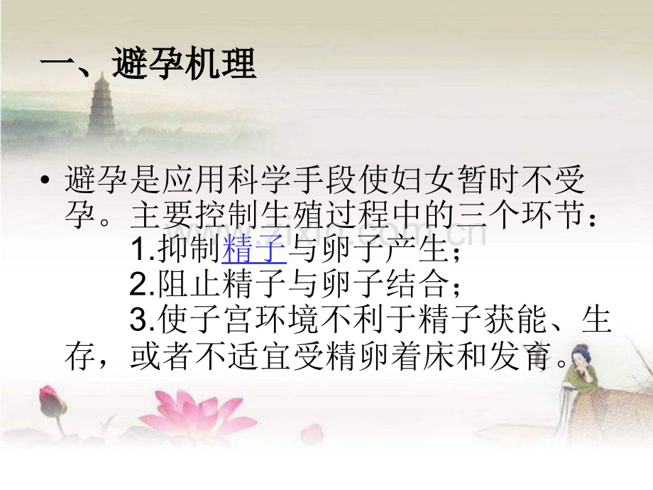 药具培训ppt.ppt_第2页