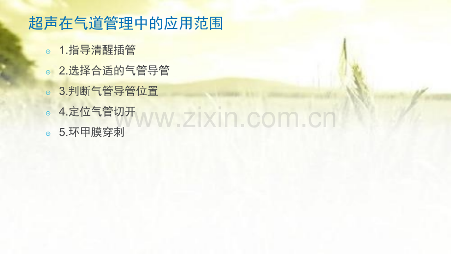 气道超声的评估-PPT.pptx_第2页