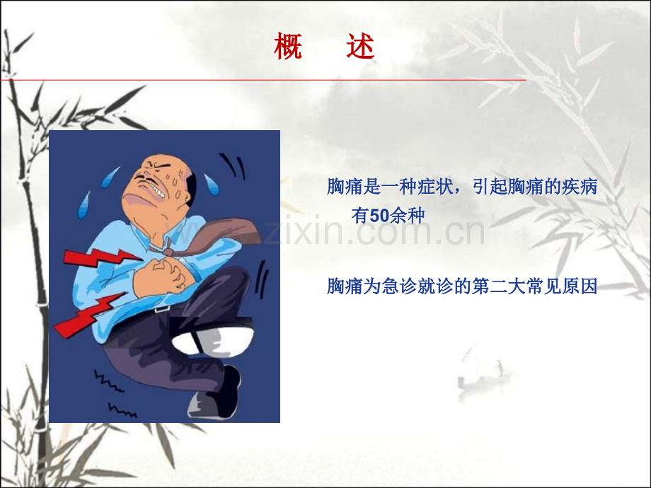 胸痛中心建设专家共识解读-PPT.ppt_第2页