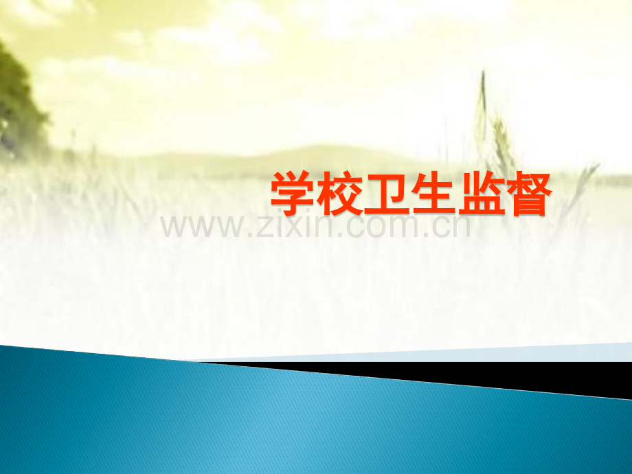 学校卫生监督课件-PPT.pptx_第1页
