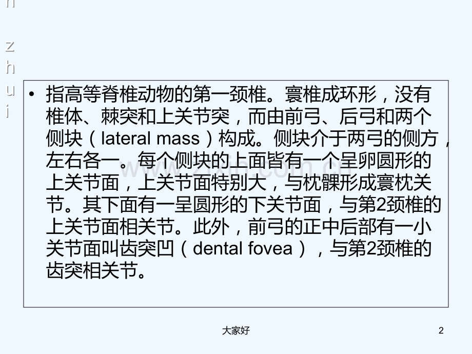寰椎-解剖学部位-PPT.ppt_第2页