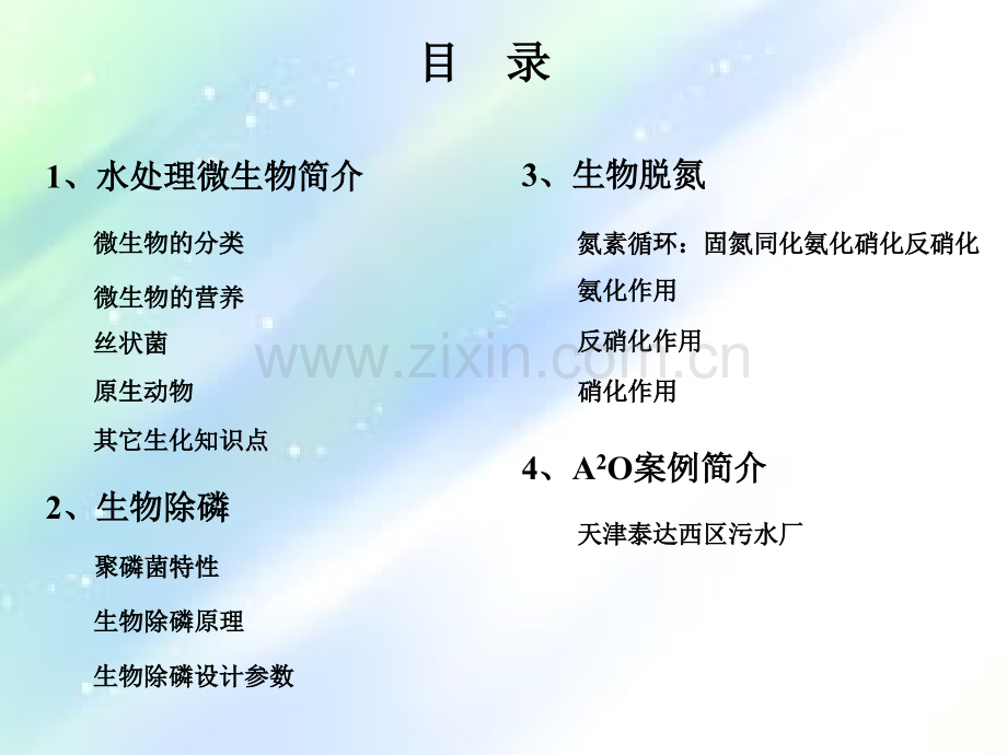 生物脱氮除磷技术总结-PPT.ppt_第2页