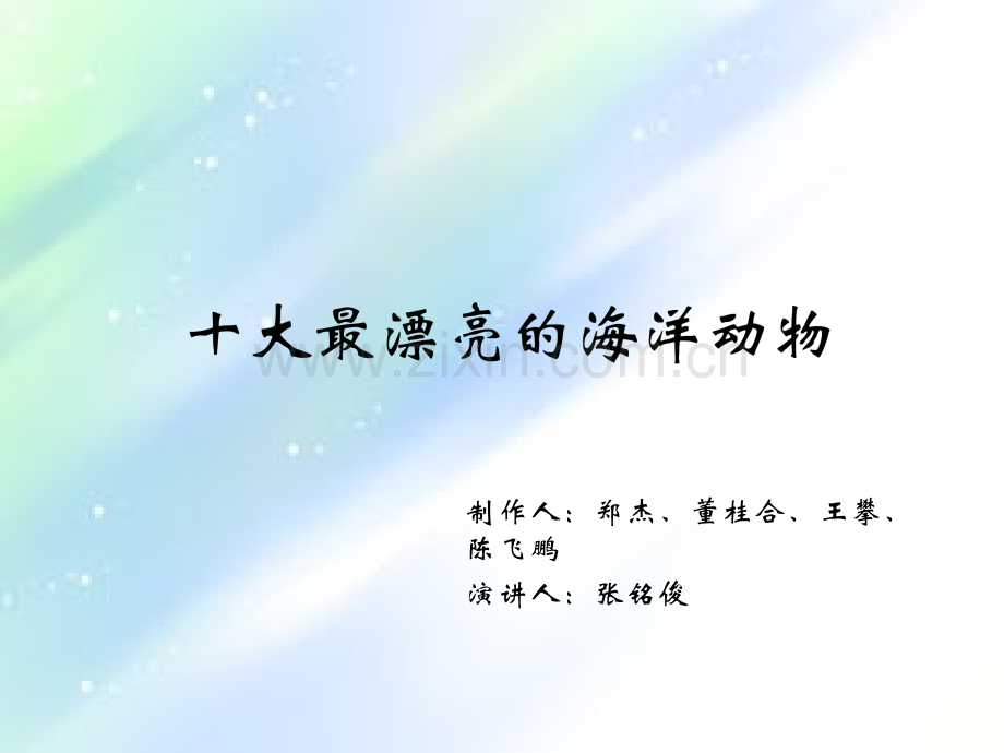十大最漂亮的海洋生物-PPT.ppt_第1页
