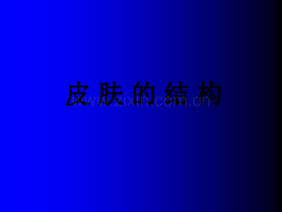 皮肤性病学专业全套课件ppt.ppt_第2页
