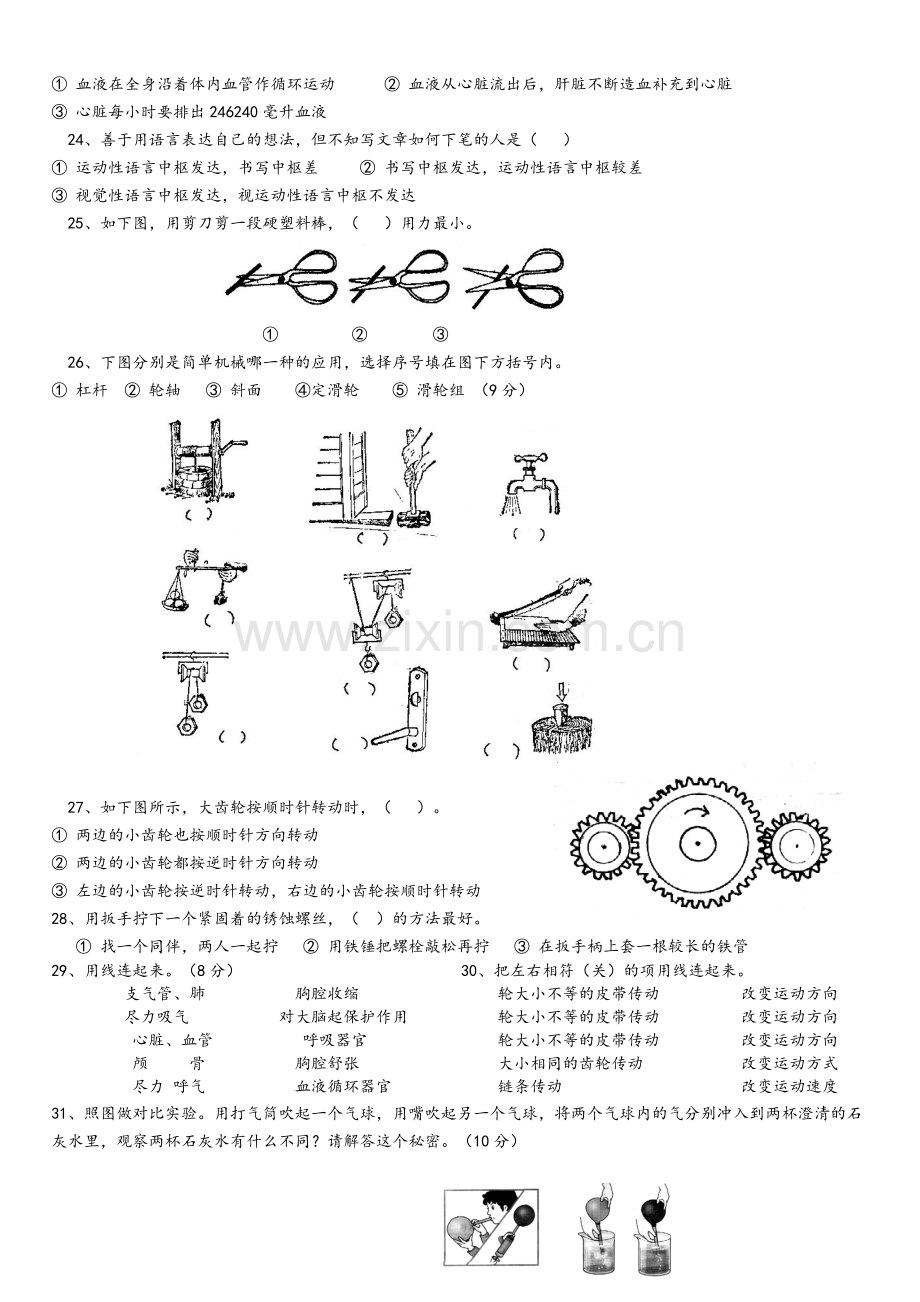 湘教版五年级科学上期末复习题.doc_第2页