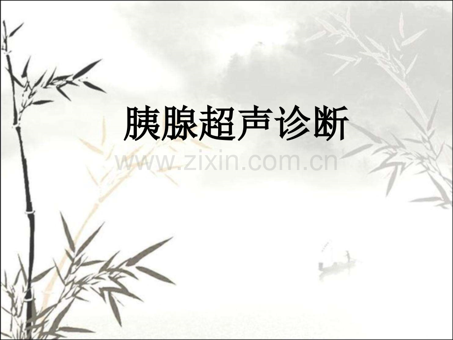 胰腺超声诊断-PPT.pptx_第1页