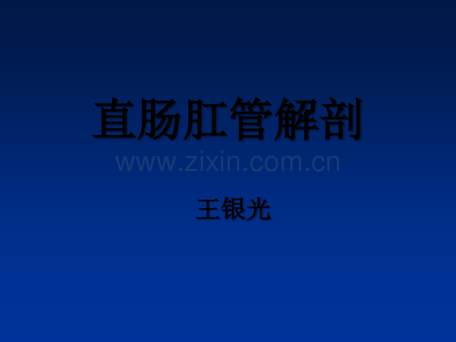 直肠肛管解剖.ppt_第1页