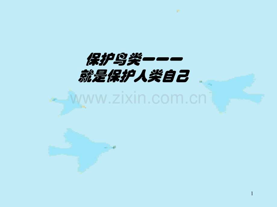 保护鸟类-PPT.ppt_第1页