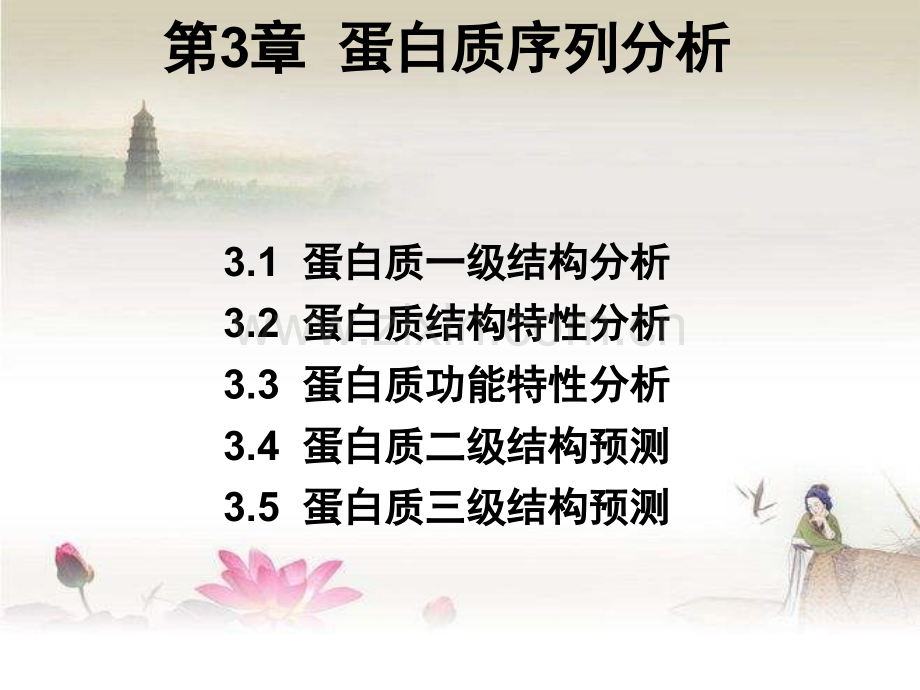 蛋白质二级结构预测-PPT.ppt_第1页