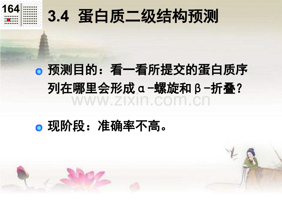 蛋白质二级结构预测-PPT.ppt_第2页