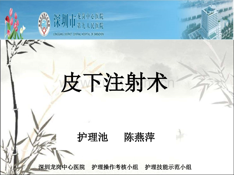 皮下注射术ppt.ppt_第1页