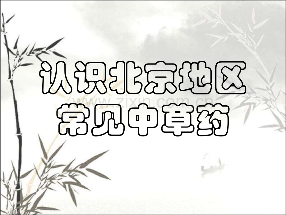 北京地区常见中草药图片ppt.ppt_第1页