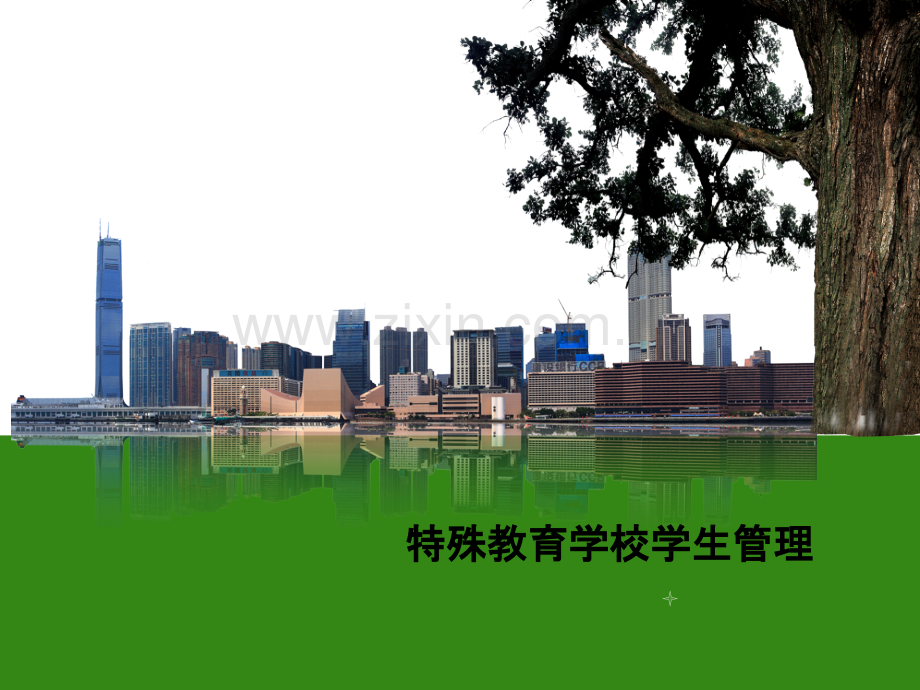 特殊教育学校学生管理ppt.ppt_第1页