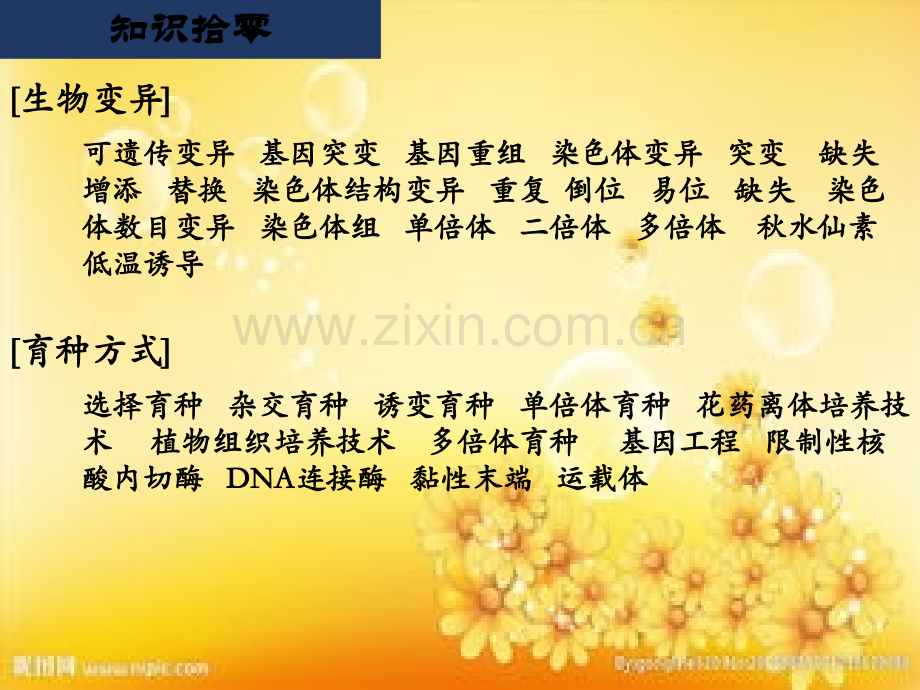 变异与育种复习.ppt_第2页