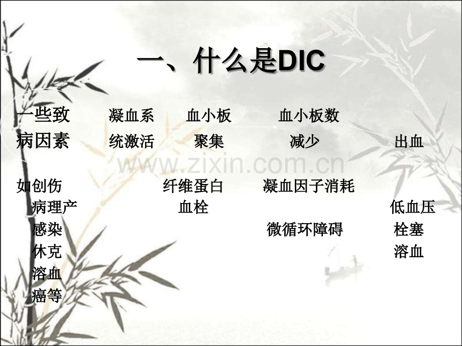 DIC现状与进展(已看两遍-很好)ppt.ppt_第2页