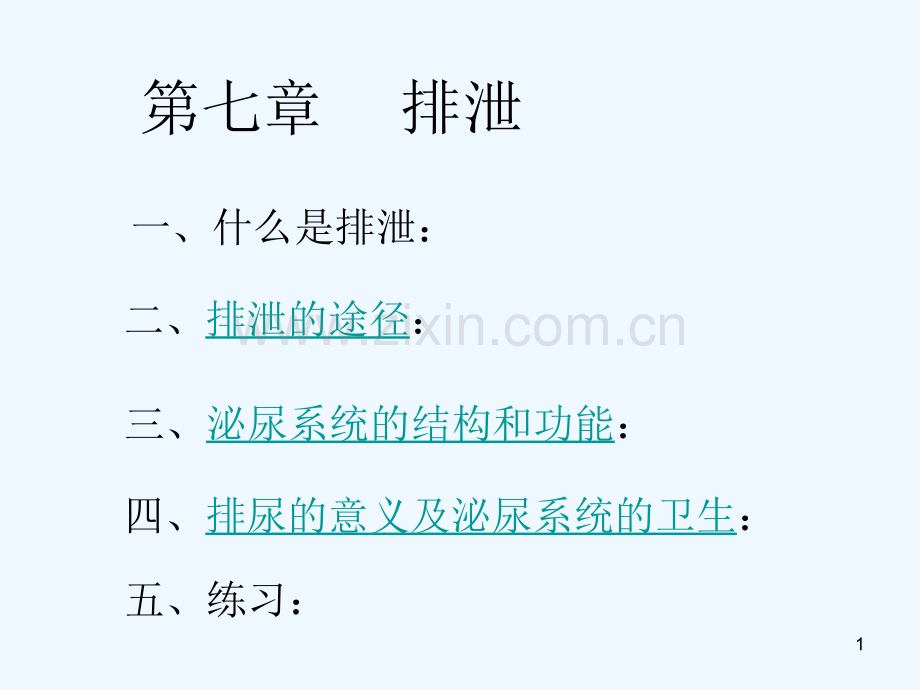 排泄-PPT课件.ppt_第1页