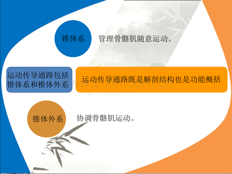 解释锥体系病变的几个症状ppt课件.ppt_第2页