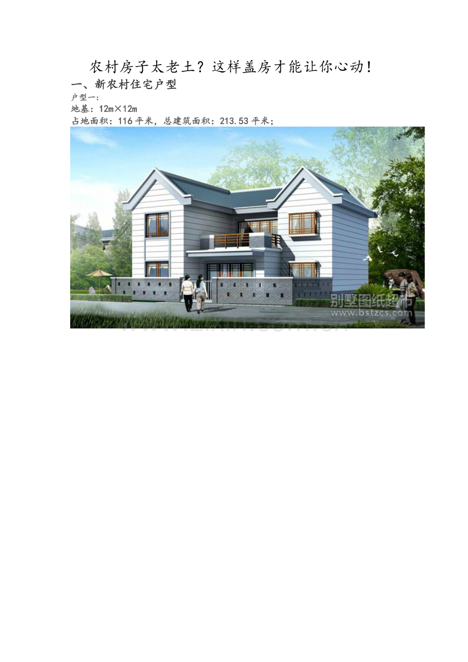 新农村住宅户型效果图平面图.doc_第1页
