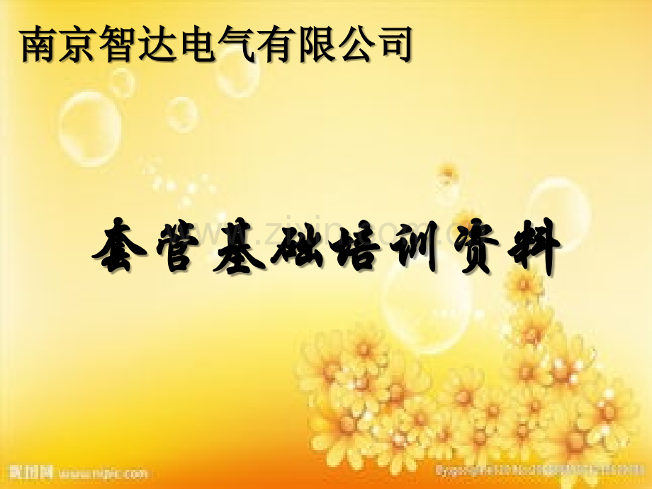 套管培训大纲.ppt_第1页