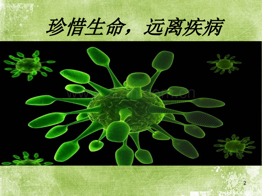珍惜生命-远离疾病主题班会-PPT.ppt_第2页