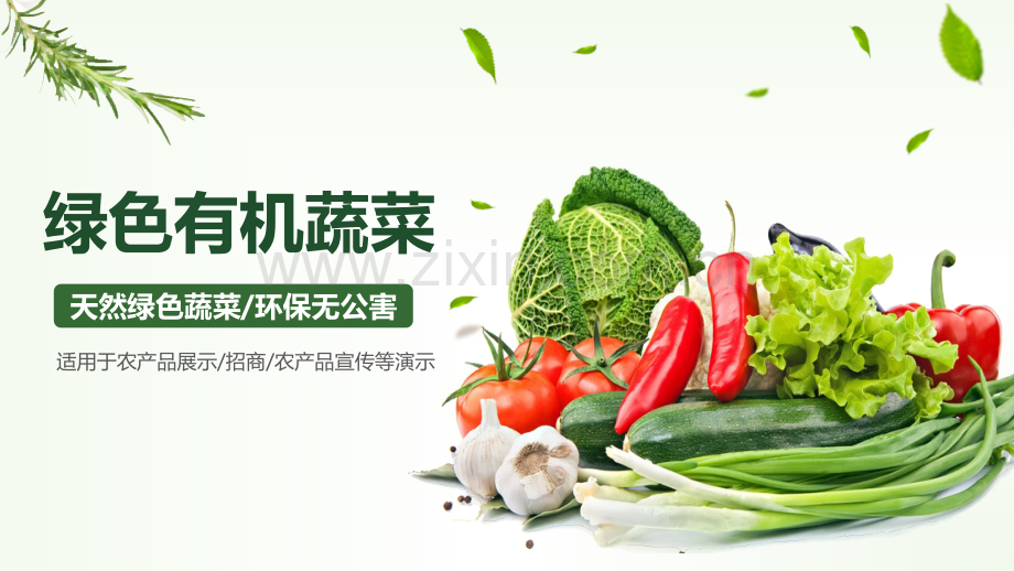 天然绿色蔬菜-环保无公害适用于农产品展示-招商-农产品宣传等演示ppt模板34p.pptx_第1页
