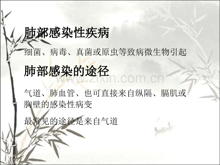 肺部感染性疾病tppt课件.ppt_第2页