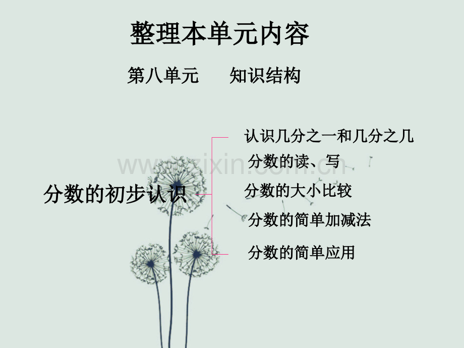 复习分数的初步认识.ppt_第2页