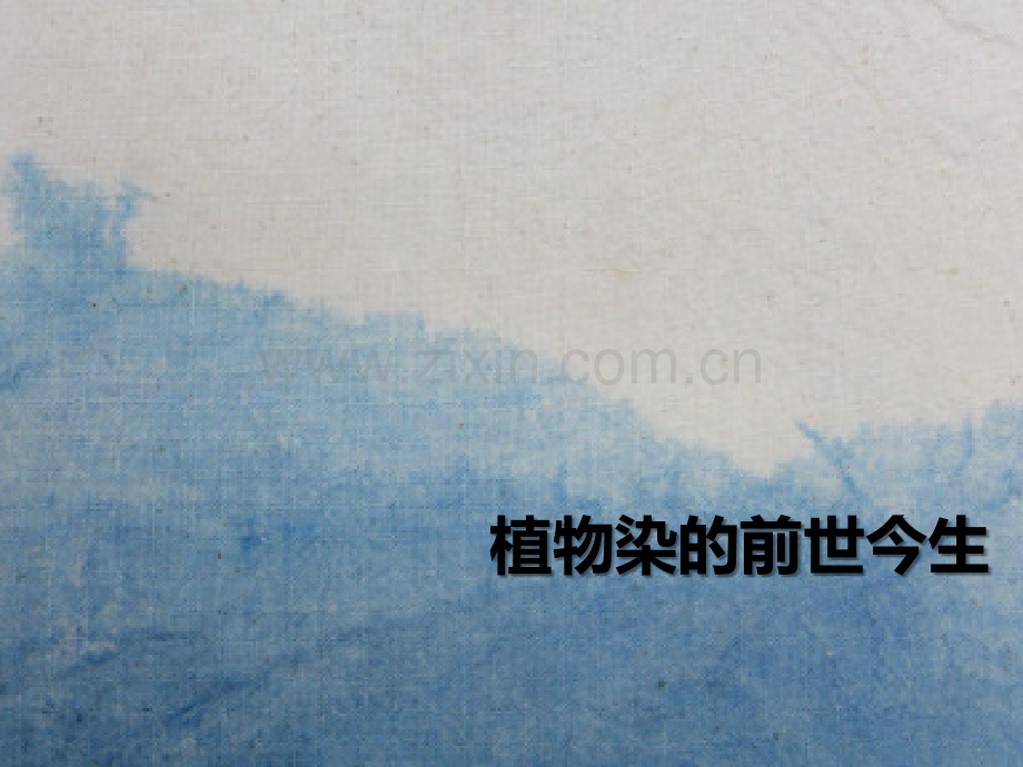 植物染的前世今生ppt.ppt_第1页