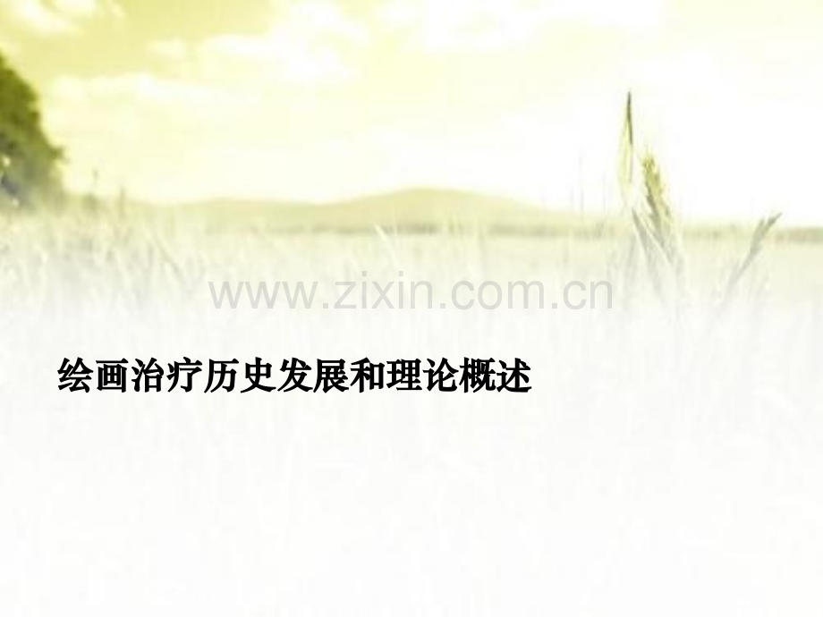 1绘画治疗理论概述ppt.ppt_第2页