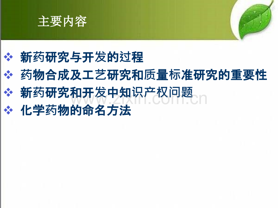 新药研发概论-PPT.ppt_第2页
