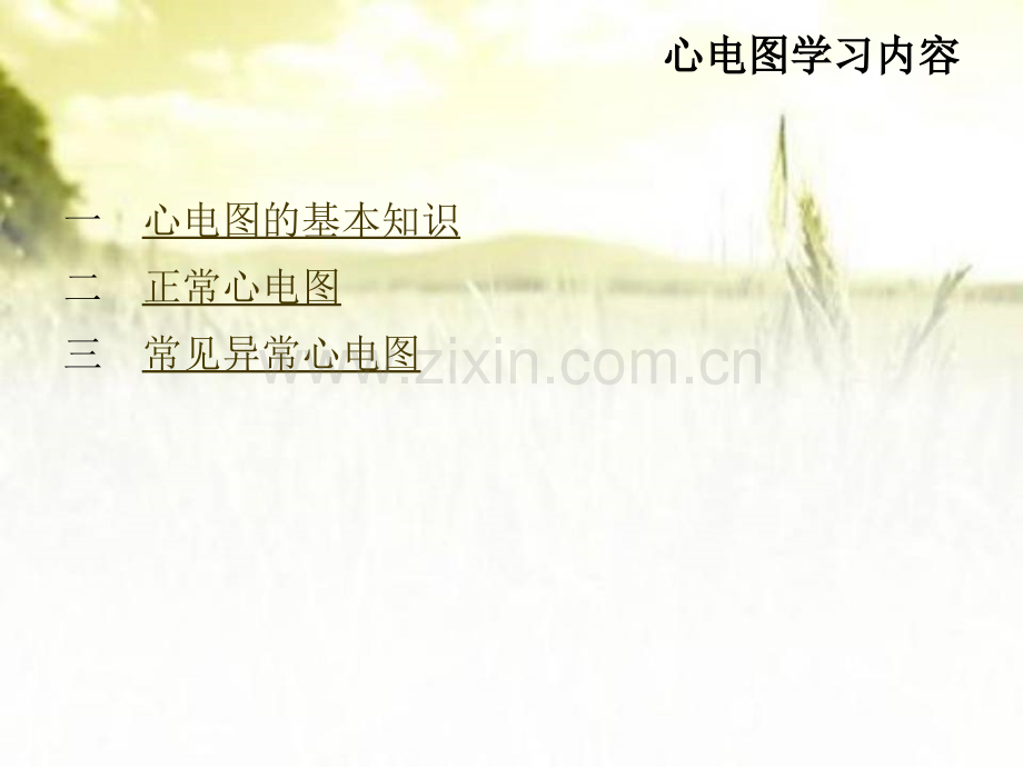 执业医师考试心电图学习PPT.ppt_第2页