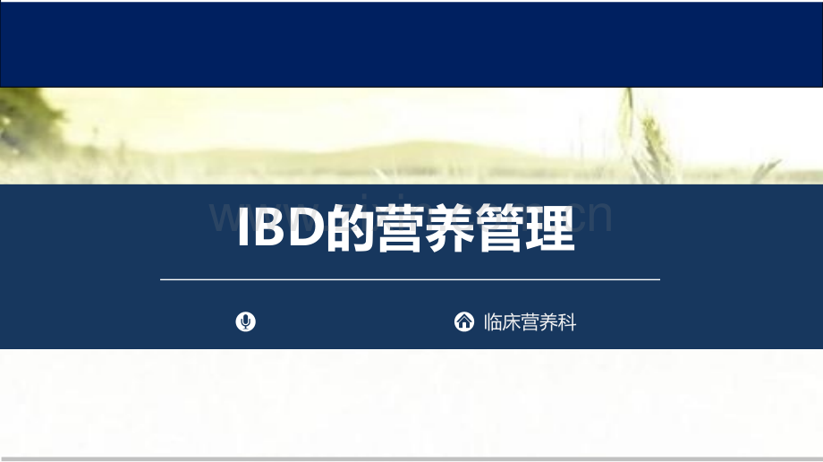 IBD的营养管理-PPT.pptx_第1页