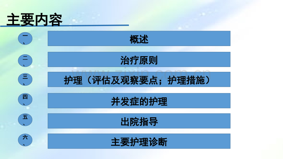 垂体瘤的护理-PPT.ppt_第2页