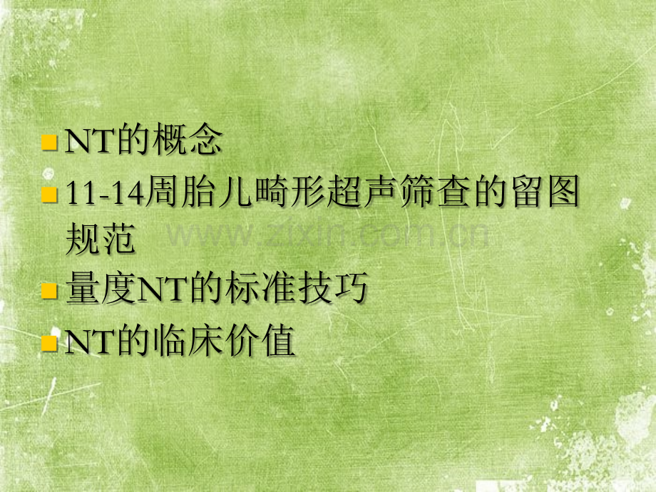 NT超声诊断规范ppt.ppt_第2页
