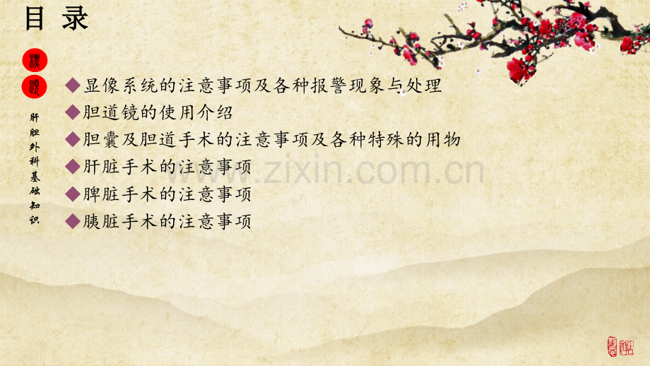 肝胆外科基础知识-PPT.ppt_第2页