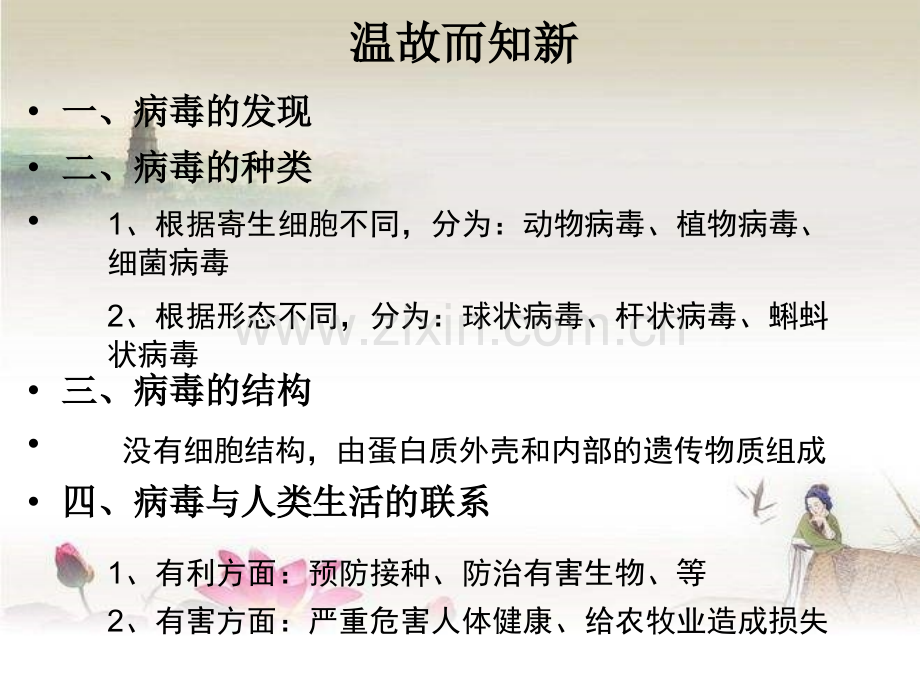 八年级生物上第六章-尝试对生物进行分类-PPT.ppt_第1页