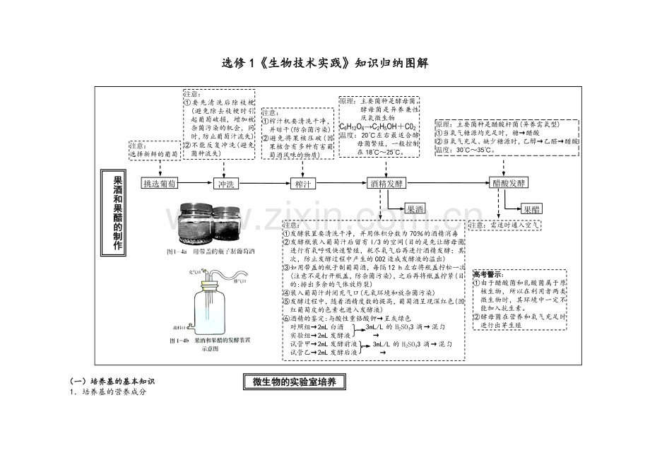生物技术实践(生物选修一)知识复习图解.doc_第1页