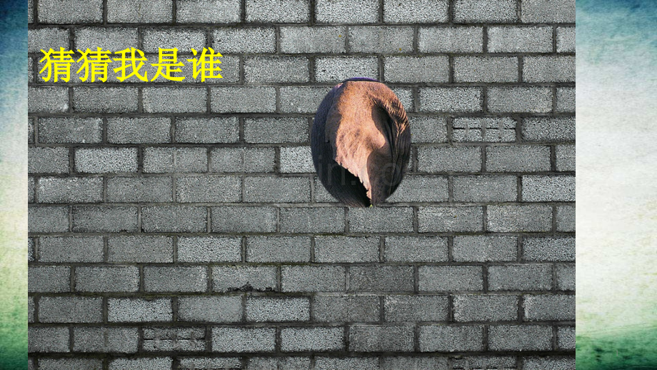 大象的耳朵-(3)-.pptx_第1页