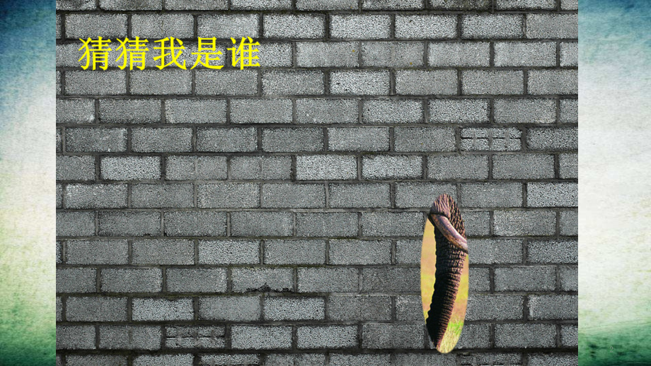大象的耳朵-(3)-.pptx_第2页