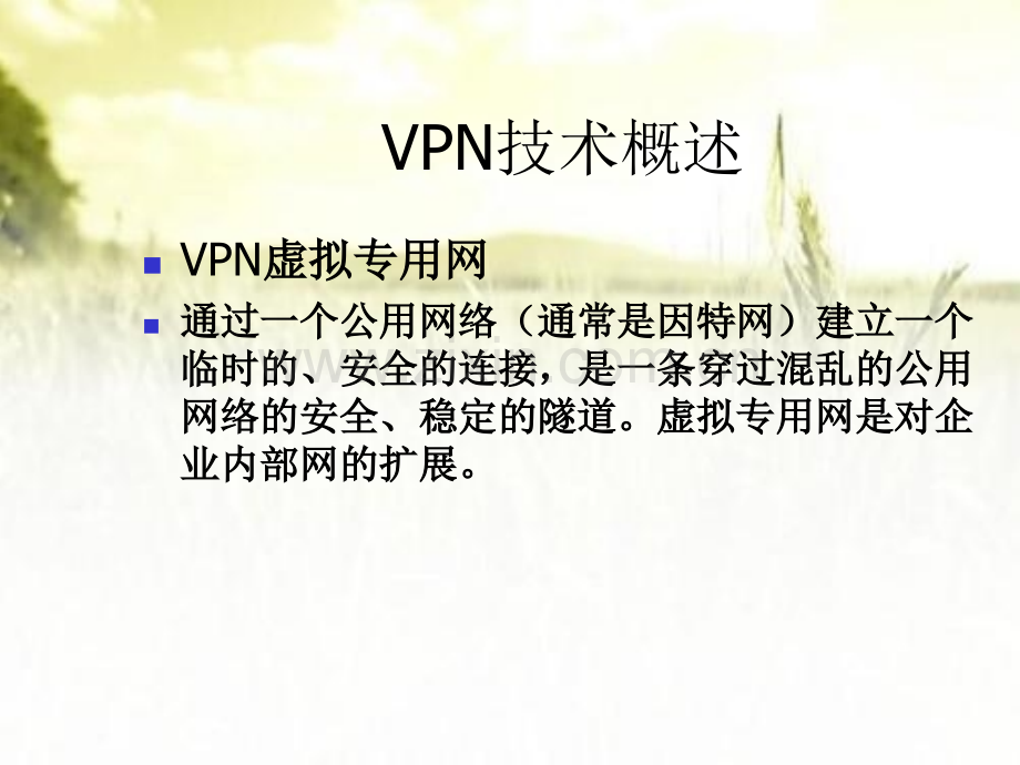 VPN组网方案ppt.ppt_第2页