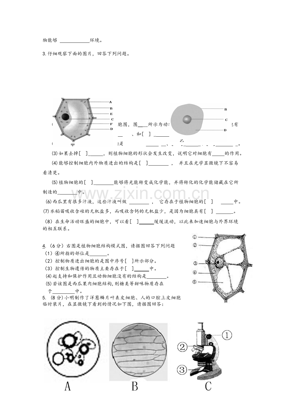 新人教版七年级生物上册识图题.doc_第2页