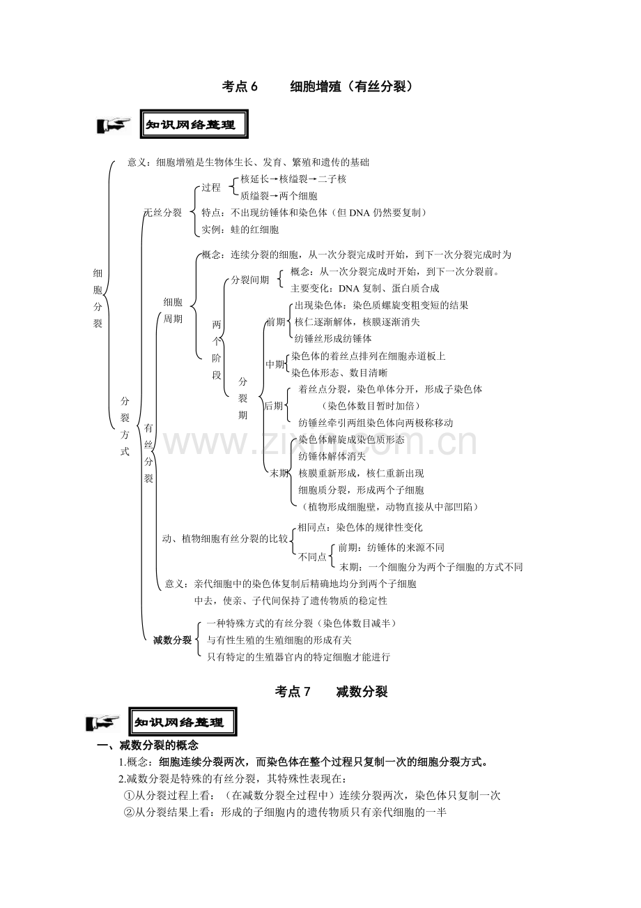 细胞增殖知识点总结.pdf_第1页