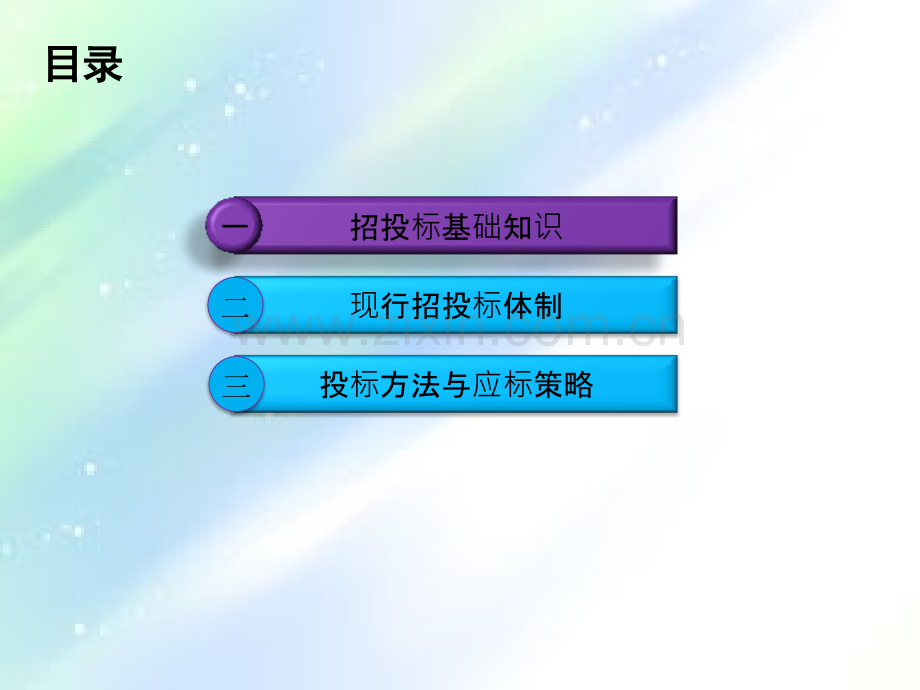 招投标基础知识ppt.ppt_第2页